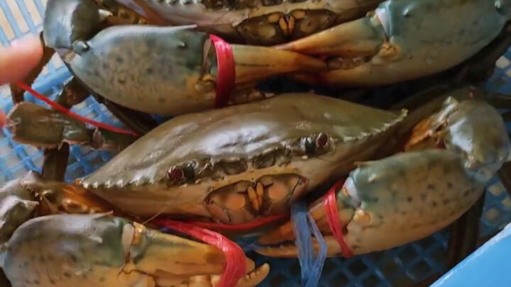 Ẩm thực Thái Lan: Ông chủ quán hải sản trên đảo Koh Chang xinh đẹp chỉ bạn cách làm món cua cà ri ki