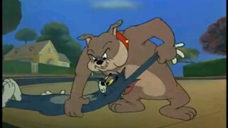 Tom and Jerry - Aku Benar-benar Marah (Sub Indo)