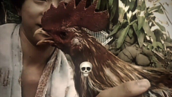 6 months bulik vs 9months binabae? no p.