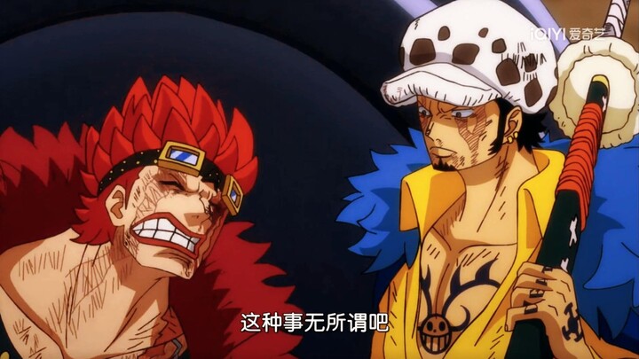 One Piece | Kidd and Law's bickering is so funny