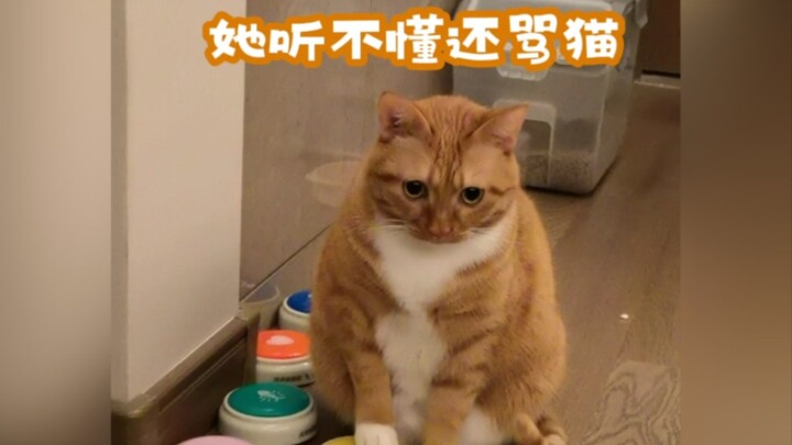 Aku, Wanwan, sampai di sini saja kata-kataku.