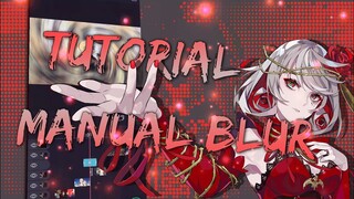TUTORIAL MANUAL BLUR IN ALIGHT MOTION FOR BEGINNER | PENJELASAN BAHASA INDONESIA 🇮🇩