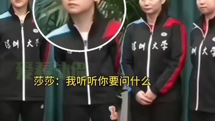 Sasha: Xong rồi, toàn bộ đều nhắm vào tôi!
