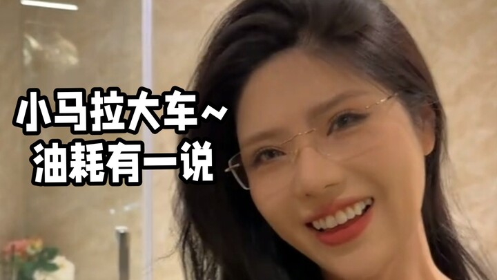 A small horse pulling a big cart—fuel consumption is definitely worth talking about!