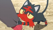 Pokemon Sun and Moon Episode 21 (Dub)