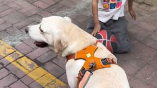 May there never be butt-squeezing in this world.