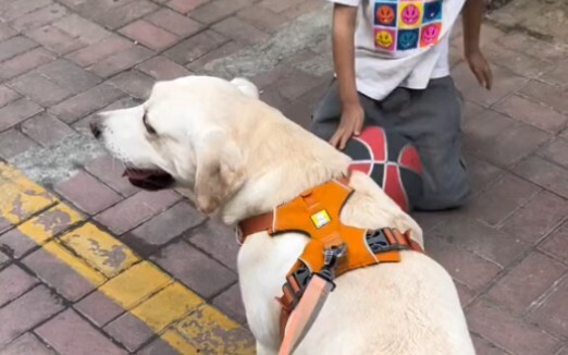 Semoga di dunia ini tidak ada yang mendorong pantat