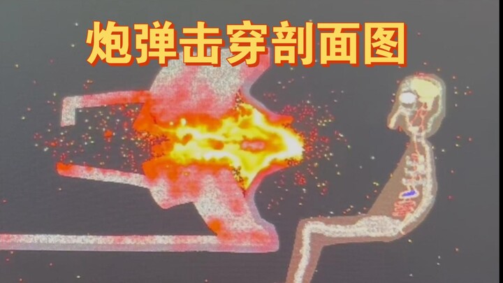 Sơ đồ mặt cắt xuyên thủng của đạn pháo
