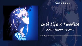 “听完之后，感觉自己可以上杂志封面”||《Lush Life x Paradise》