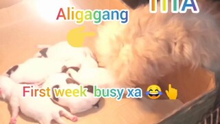 Yung titang akala mo xa yung nanay!!!😁♥️♥️♥️