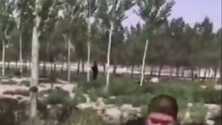"Cuộc phiêu lưu kỳ lạ của Tiger Brother: Biển sống"