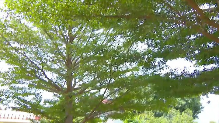 Luang Phi Digital (2558) CH8 EP.25 CR.VIU