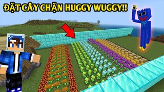 Mình Thử Thách Đặt Bãy Chặn Huggy Wuggy | Bằng Những Cây Đậu Khoai | Trong MINECRAFT PE..!!