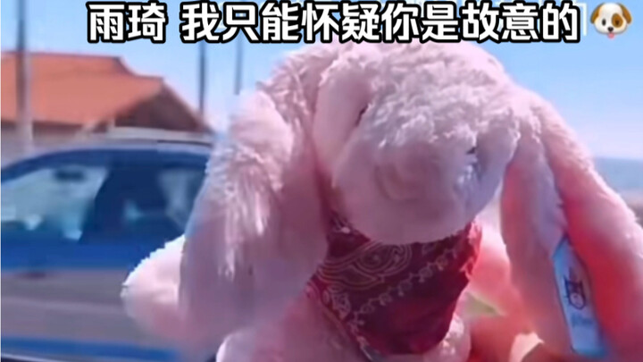 Tống Vũ Kỳ và con gigi của cô ấy – Vũ Kỳ ơi, tớ chỉ có thể nghi ngờ là cậu cố ý thôi, đồ lão lục!