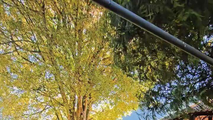 A Vida é Bela