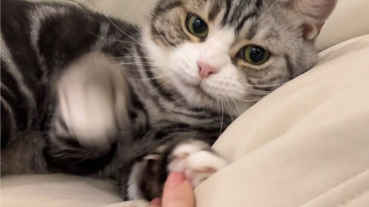 Làm gì có chàng trai nào thích kêu meo meo chứ!
