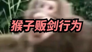 [Brother Xi] Are you the reinforcements brought by Monkey?