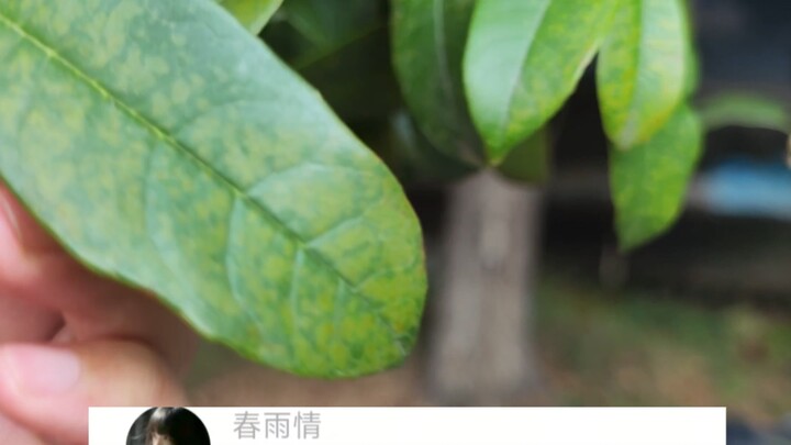 نبدأ الرسم من الخلية؟