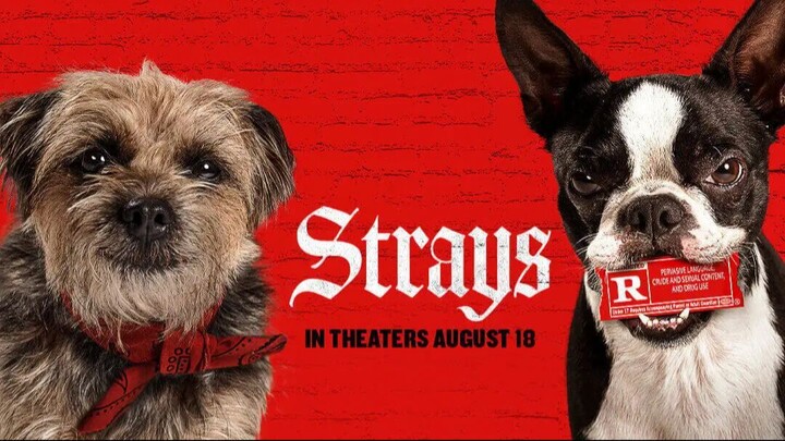 Strays _ Watch Full Movie : Link in Description