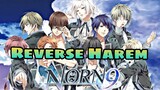 REVERSE HAREM ANIME - NORN 9