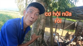 Tới Công Chuyện Nữa Rồi Khịa Chủ Vườn Bí Đang Ngủ Thì Sẽ Ra Sao