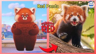 Turning Red Characters In Real Life