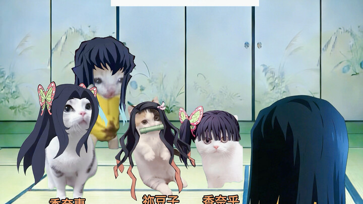 อูอิจิโร่ฝึกจำคน