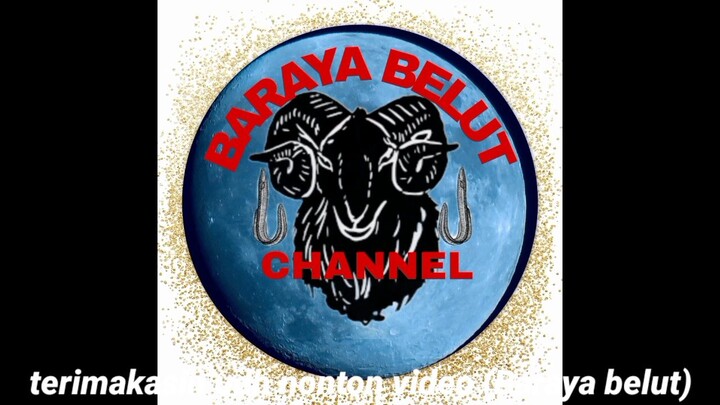 mancing belut