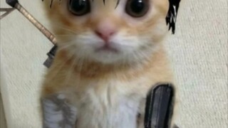 Tình yêu là gì