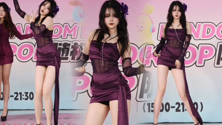 Bông hồng e thẹn lặng lẽ nở~ “day by day-tara”