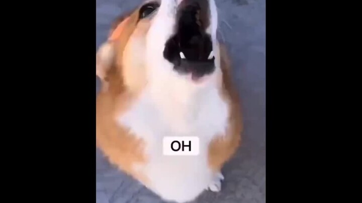 Great! Let's pop the champagne!