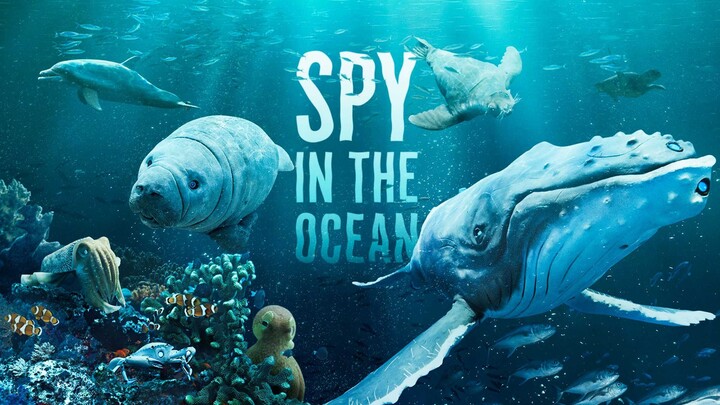 สารคดี สายลับใต้สมุทร SPY IN THE OCEAN ตอนที่ 4