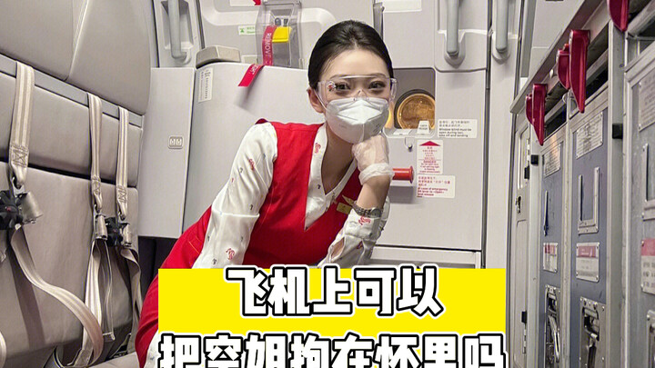 Can you hold a flight attendant in your arms on the plane?