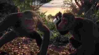 MONKE