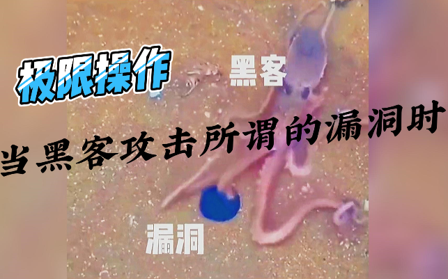 When Programmers Fix So-Called Vulnerabilities...