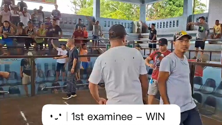 Manok ni bilas - isterang tagiti