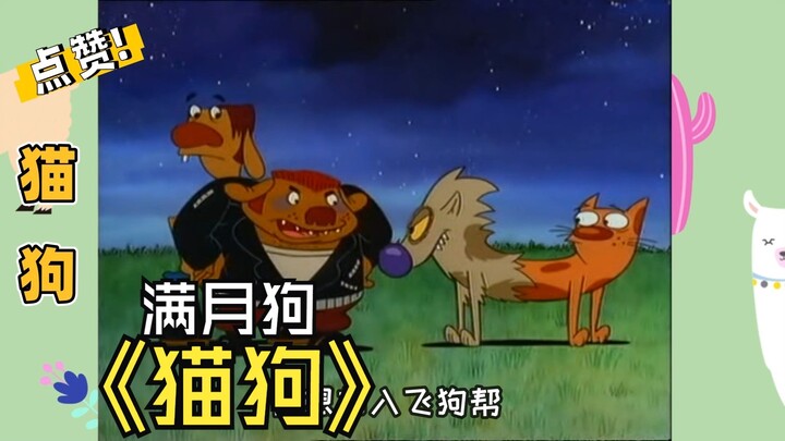狗到了满月，体内狼的基因觉醒，变身成一头狼