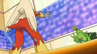 Sceptile's overgrow/Blaziken's blaze