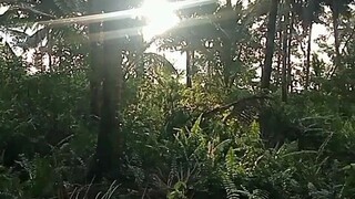 sarap Dito