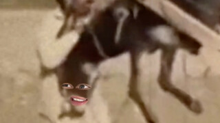 السيد يلومني