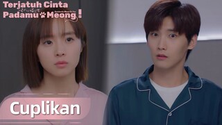 Accidentally Meow On You | Cuplikan EP22 Hampir Ketahuan Diam-diam Bekerja Lembur | WeTV【INDO SUB】