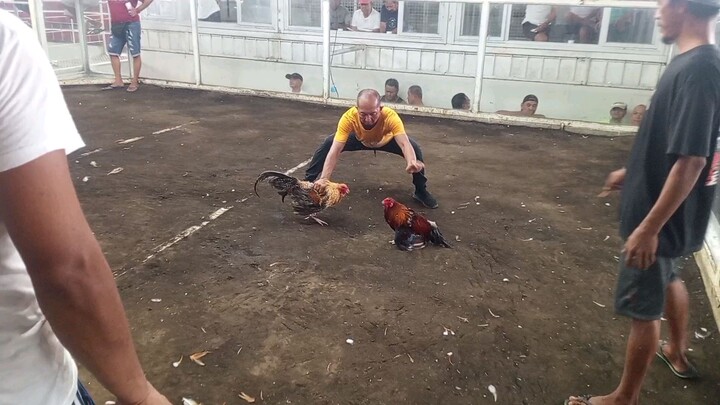 grabe mamalo Ang bolik ko