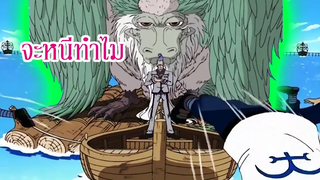 วันพีช จะหนีทำไมกัน