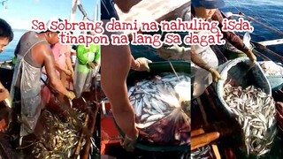 Sa  sobrang dami na nahuling isda, tinapon na lang ito sa dagat