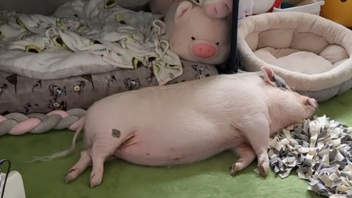 十二点，该叫女朋友起床了