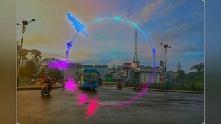 Anh mệt rồi (Cá dọn bể)