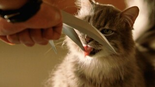 Wolverine: Cakarku memotong besi seperti lumpur Meow: Benarkah?
