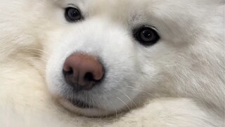 Em bé tủi thân quá mức