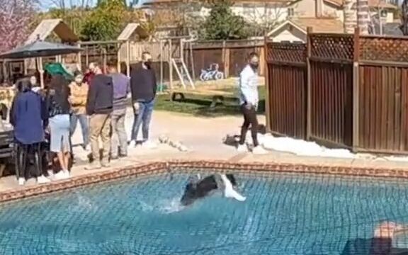 What just “cua’d” right past?