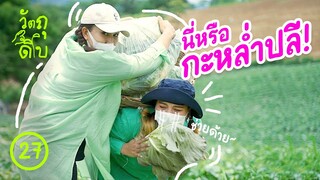 นี่หรือ กะหล่ำปลี! - วัตถุดิบ EP27